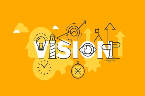 Vision IGRA software development company